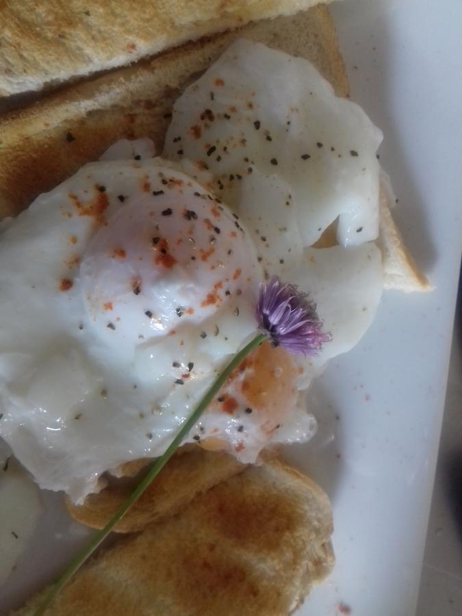 Bed and Breakfast Westhouse Cafe N39 E0A6 Longford Exterior foto